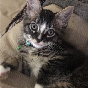 Meet your Posher, Kyler